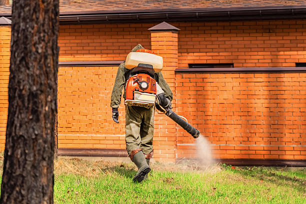 Trusted Termite Control service in Sun City West, AZ - Nex Pest Control